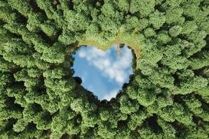 vista superior de uma floresta com um lago em forma de coração foto