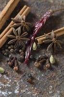 especiarias e ervas. alimentos e ingredientes da cozinha. paus de canela, estrelas de anis, pimenta preta, pimenta, cardamomo e cravo em plano de fundo texturizado foto