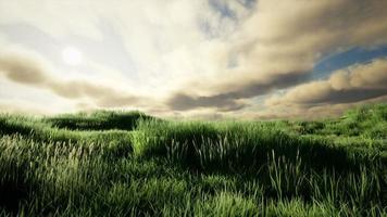 nuvens de tempestade acima do prado com grama verde foto