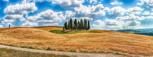 grupo icônico de ciprestes em san quirico d'orcia, toscana, itália foto