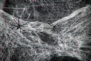 fundo de halloween horror decoração teia de aranha e aranha preta em fundo escuro de madeira no feriado foto