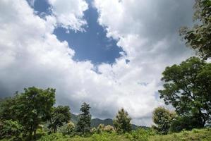 bela paisagem com árvores e montanha. foto