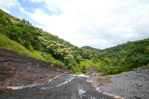 paisagem com montanhas, árvores e um rio na frente foto