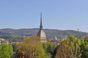 toupeira antonelliana turin foto