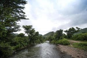 bela paisagem com árvores e montanha. foto