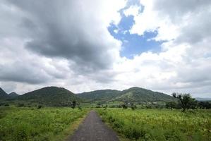 bela paisagem com árvores e montanha. foto