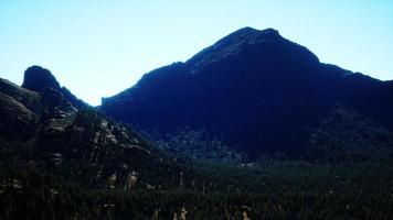 panorama da floresta de cones nas montanhas foto