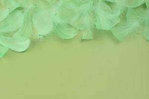 penas de pássaros verdes e penugem sobre um fundo verde claro. belo fundo moderno verde abstrato foto
