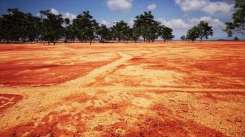 terra rachada terra seca durante a estação seca foto