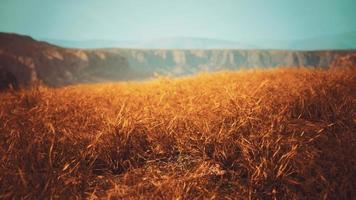 pedras douradas e grama nas montanhas foto