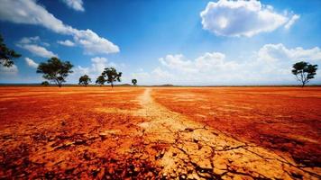 terra seca sem água foto