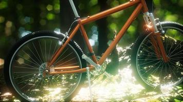 bicicleta de montanha no caminho da floresta foto