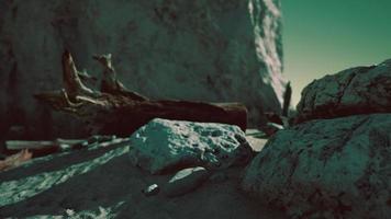 lapso de tempo de logs em uma costa de praia de maiorca foto