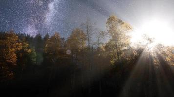 estrelas da via láctea com luar acima da floresta de pinheiros foto