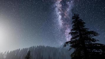 estrelas da via láctea com luar acima da floresta de pinheiros foto