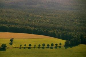 felder e wald foto