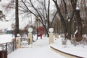 paisagem colorida de inverno no parque foto