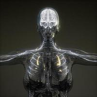 exame de radiologia do cérebro humano foto