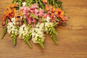 uma composição de flores de snapdragons em um fundo de madeira marrom foto