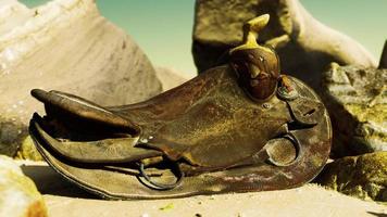 sela de cavalo muito velha na praia de areia foto