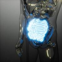 exame de radiologia do intestino delgado humano foto