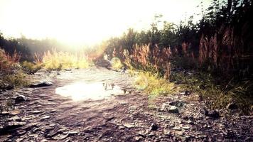 estrada de terra no campo no outono em um dia ensolarado foto