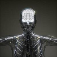 exame de radiologia do cérebro humano foto