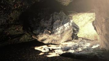 cenário de tirar o fôlego de raios de sol brilhantes caindo dentro de uma caverna iluminando foto