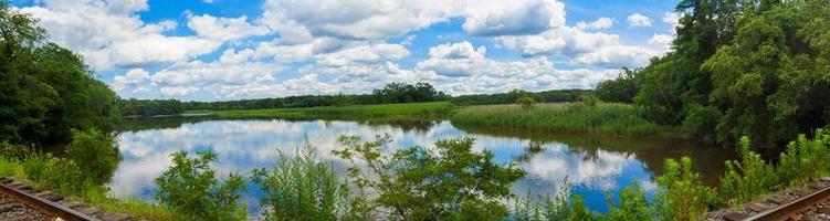 árvores verdes à beira do lago dia ensolarado, com nuvens no céu foto