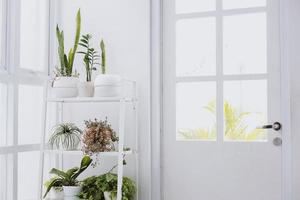 interior branco minimalista com plantas caseiras em rack, mini mesa e conjunto de cadeiras e iluminação de vidro de janela de quadrados. conceito de interior moderno minimalista, copie o espaço foto