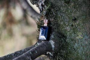 perfume em uma árvore foto