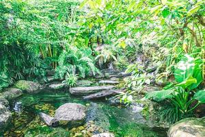 cachoeira no jardim tropical durante a primavera. belo paisagismo com belas plantas foto