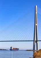 grande navio porta-contentores no mar azul debaixo da ponte foto