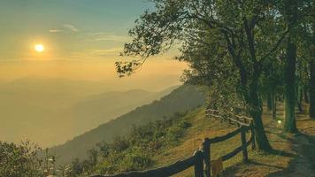 nascer do sol da manhã e bela árvore pinus kesiya e vale da colina no ponto de vista no topo do parque nacional de phu ruea, província de loei, tailândia. foto com espaço de cópia