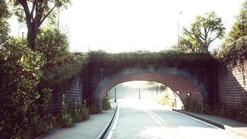 ponte em arco com galhos de arbustos vivos no parque foto