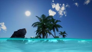 vista dividida seção transversal da água do mar e palmeiras na ilha foto