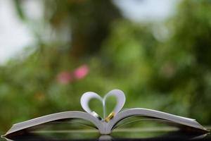 anéis de casamento no livro foto