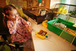 garota segurando seus animais de estimação favoritos nas mãos. criança brincando com hamster e papagaios em casa. foto