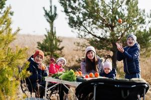 mãe alegre com filhos em um piquenique. família de férias com frutas ao ar livre. foto