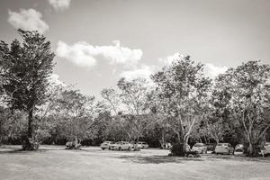 estacionamento com carros jungle para kaan luum lagoon méxico. foto