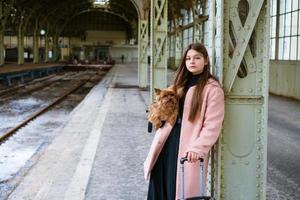 bela jovem turista casual com cachorro e mala esperando o trem foto