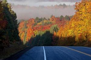 cores de outono e estrada foto