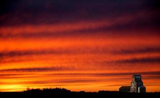 pôr do sol da pradaria de saskatchewan foto