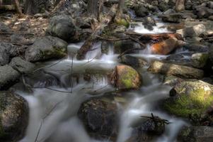 Parque Nacional de Yosemite foto