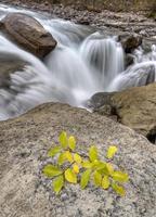 cachoeira sunwapta alberta canadá foto