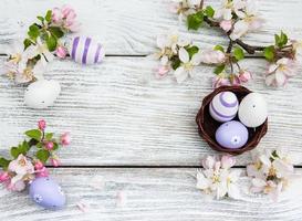 ovos de páscoa e flor de maçã foto