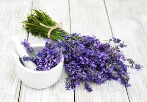 ramo de lavanda foto