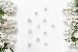 flores brancas de verão em um fundo branco. disposição. postura plana, vista superior, copie o espaço. foto