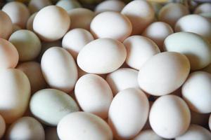 fundo de textura de ovos frescos produz ovos frescos da fazenda orgânica - clara de ovo de pato foto