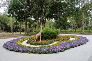 as belas formas de muitas flores no parque foto